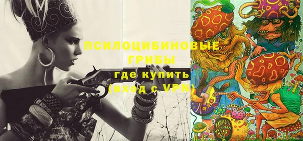 стафф Аркадак