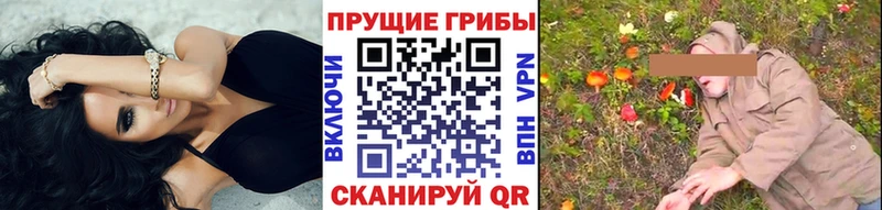 kraken tor  Арзамас  Галлюциногенные грибы Cubensis 