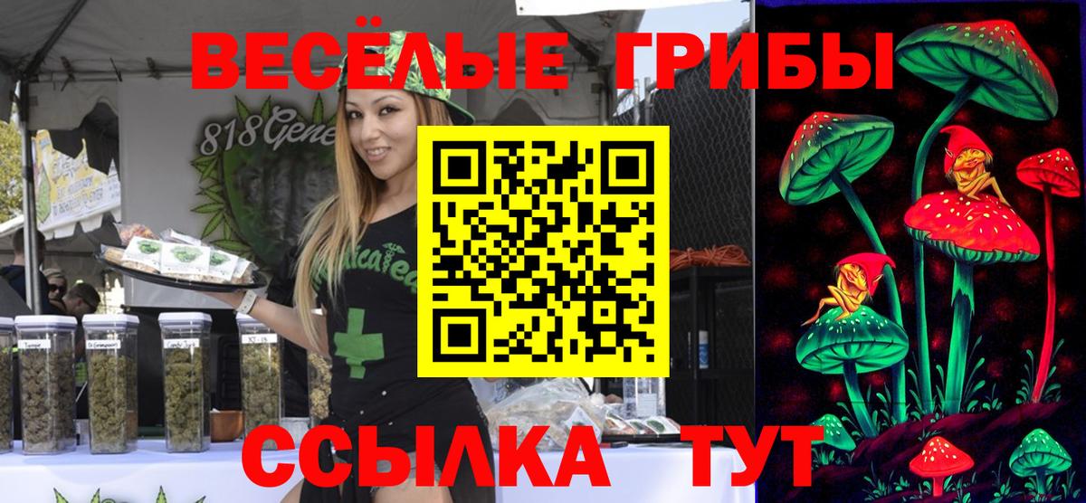 Галлюциногенные грибы MAGIC MUSHROOMS  Вход с VPN  Галлюциногенные грибы Magic Shrooms  Арзамас 