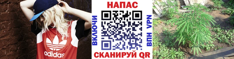 Каннабис OG Kush сайты даркнета телеграм Арзамас наркотики